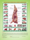 Meat Classification.jpeg
