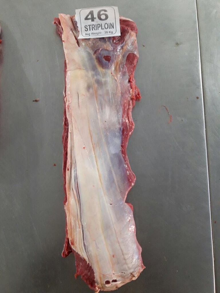 46 Striploin.jpeg